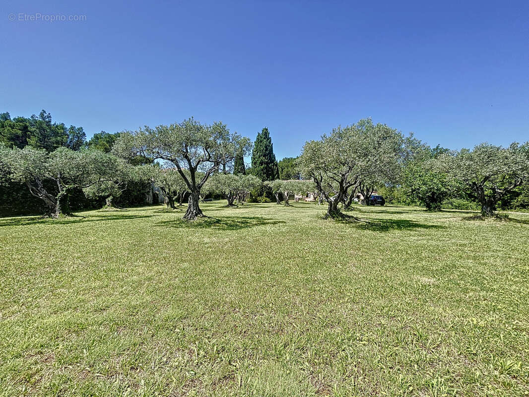 Terrain à PERNES-LES-FONTAINES