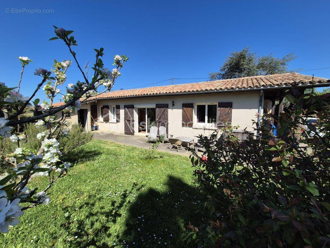 Maison à LECTOURE