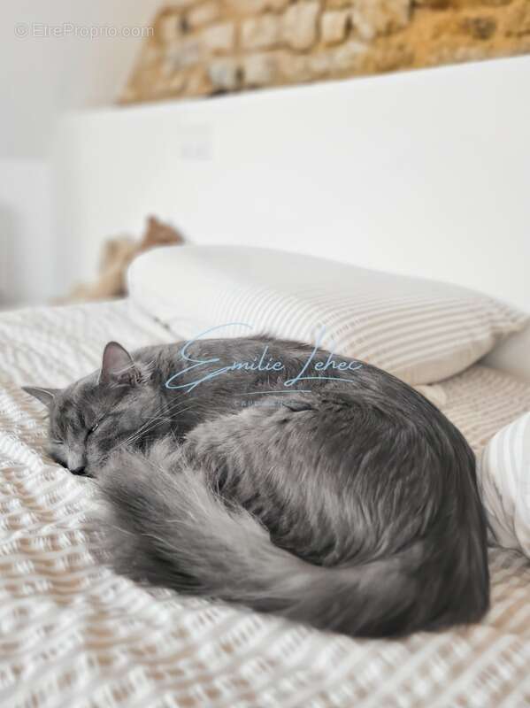 Maison à RIEC-SUR-BELON