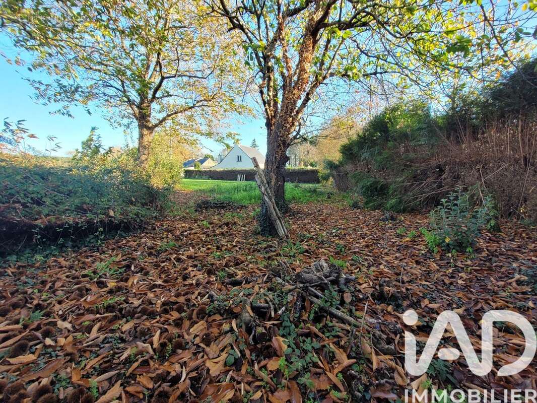 Photo 2 - Maison à GUEMENE-PENFAO