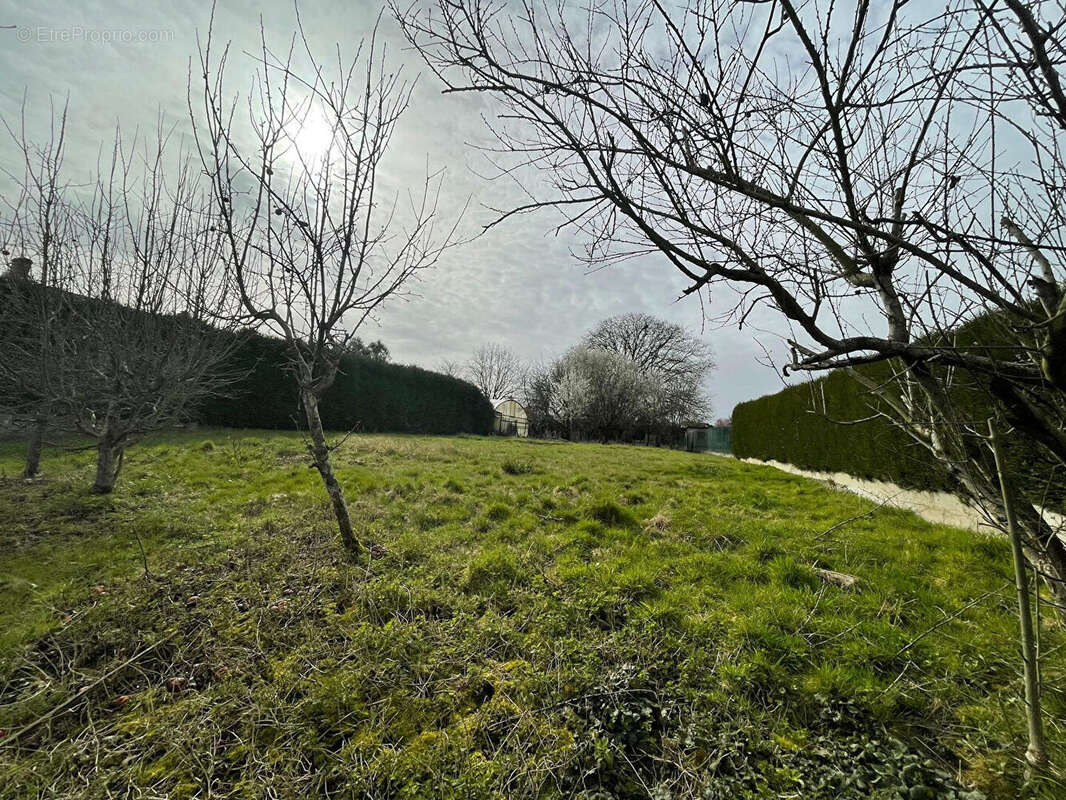 Terrain à CROUY-SUR-OURCQ
