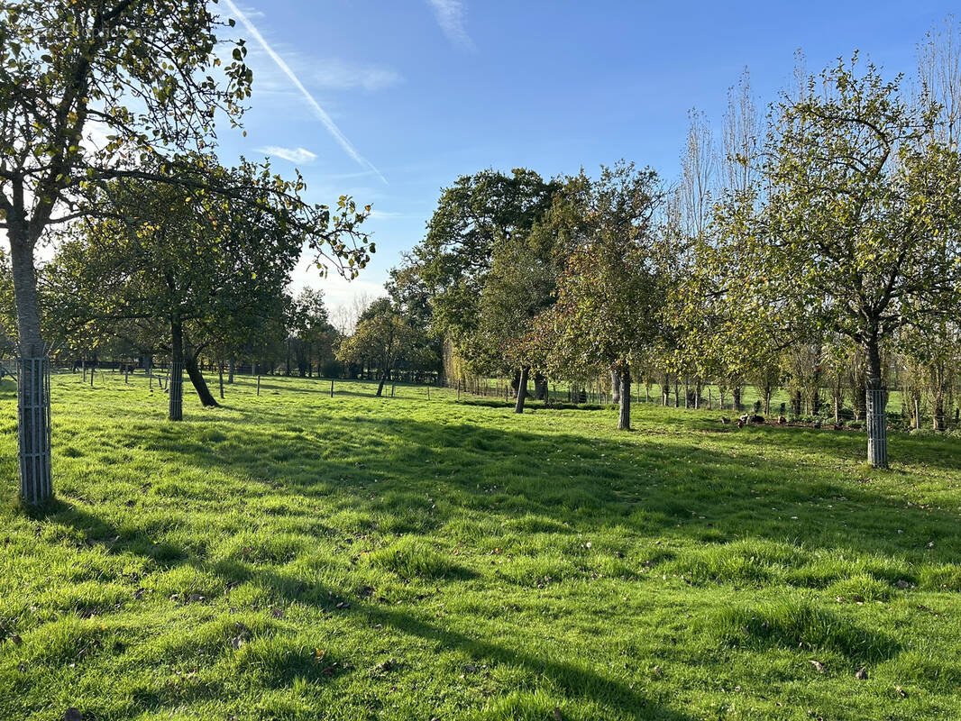 Terrain à VIRE