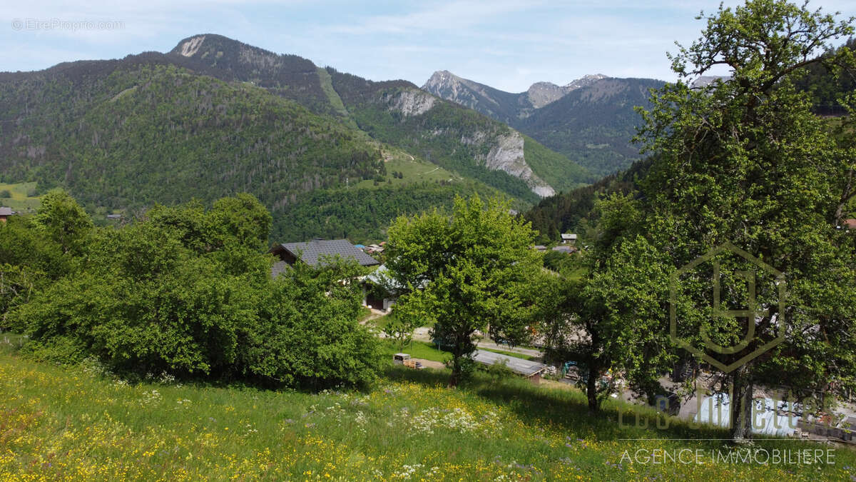 Terrain à SEYTROUX