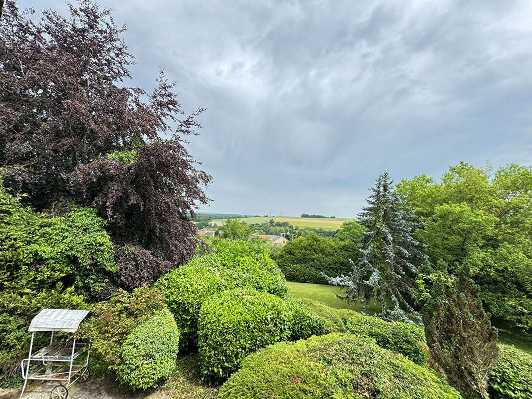 Maison d'architecte 290 m² - au coeur d'un parc  - évigny - photo 12