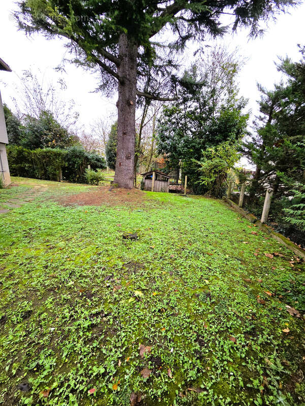 Maison à SAVIGNY-SUR-ORGE