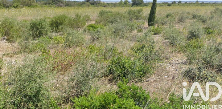 Photo 1 - Terrain à LA PALME