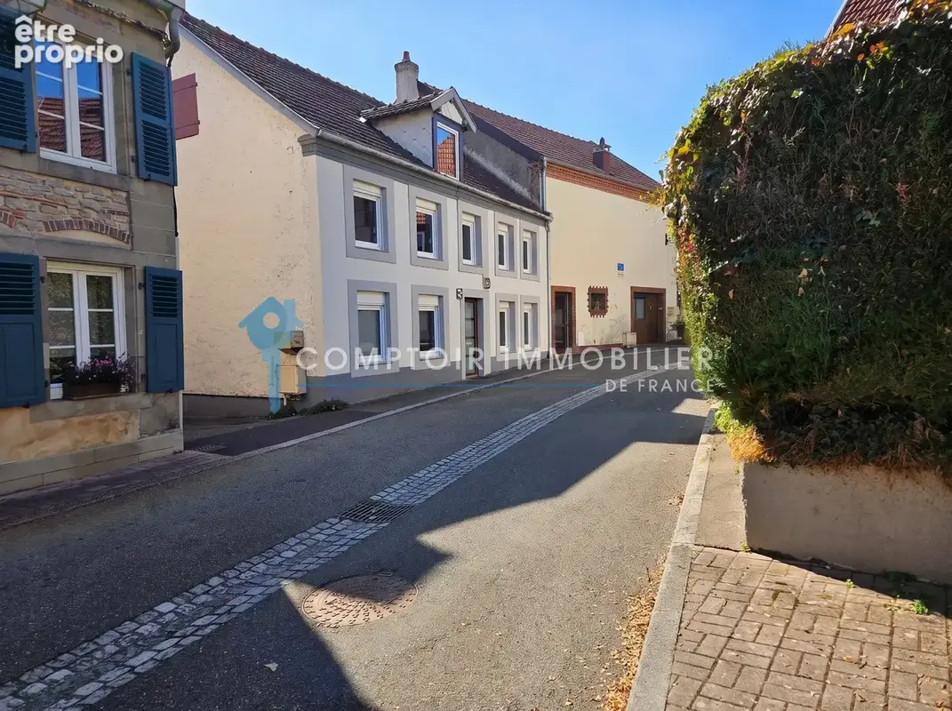 Sarralbe   maison de village avec terrasse et accès direct à la sarre - photo 24