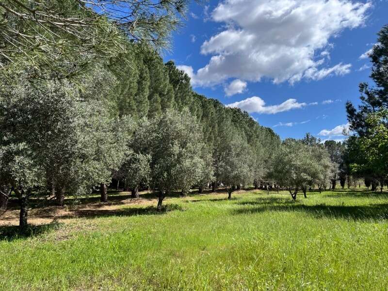 Terrain à LEZIGNAN-LA-CEBE