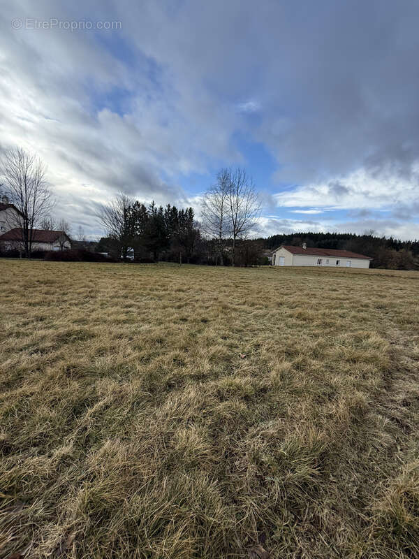 Terrain à SAINT-PAL-DE-MONS