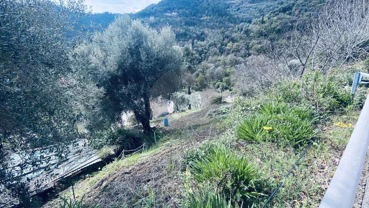 Terrain à GORBIO