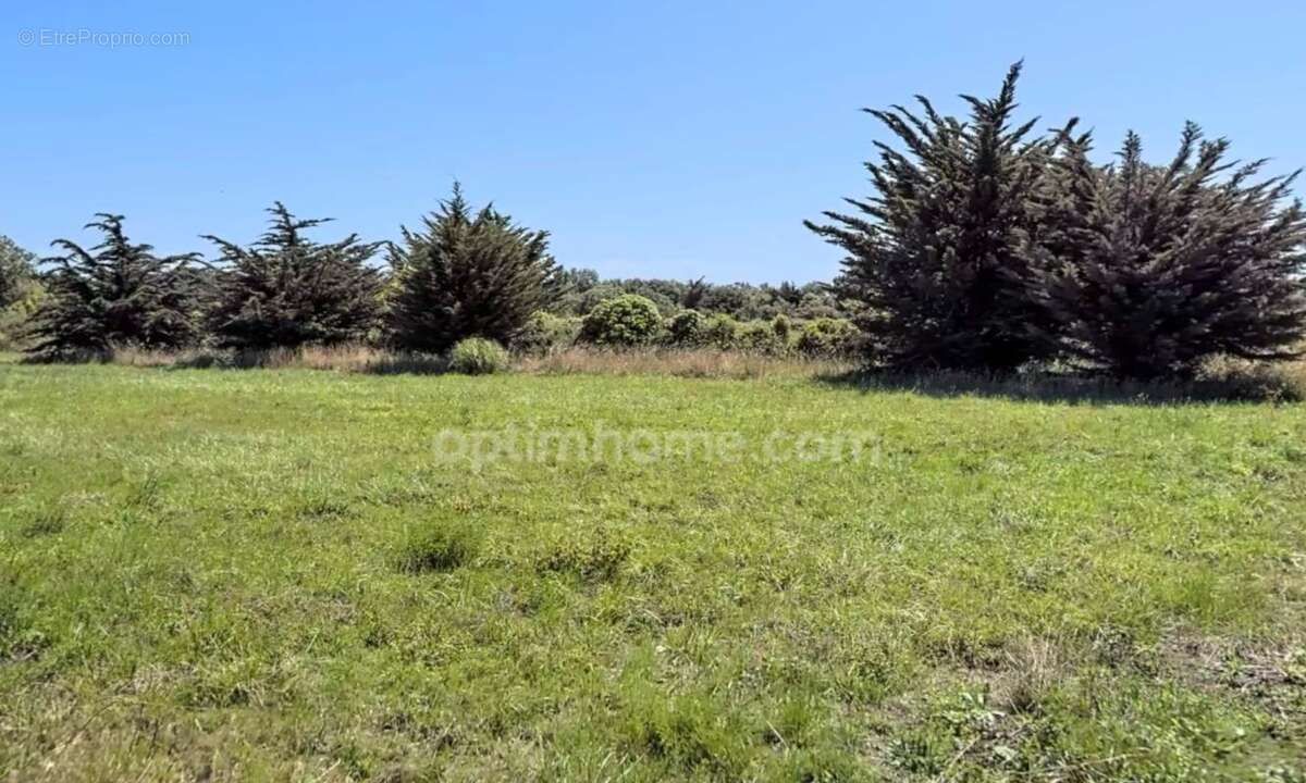 Terrain à vendre  SAINT DENIS D'OLERON (17650) - photo 4