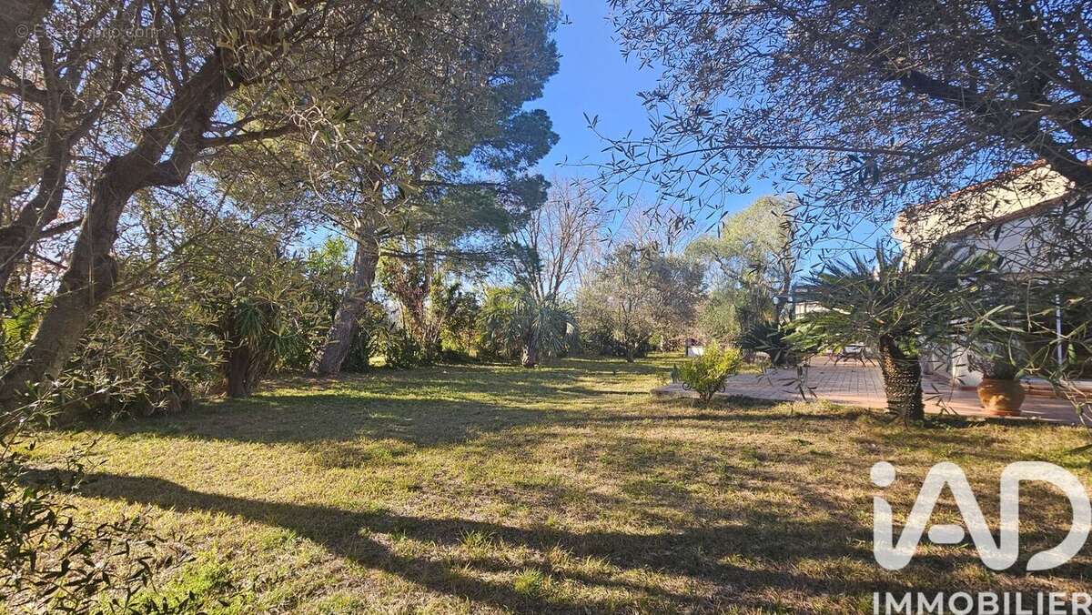 Photo 4 - Maison à MILLAS