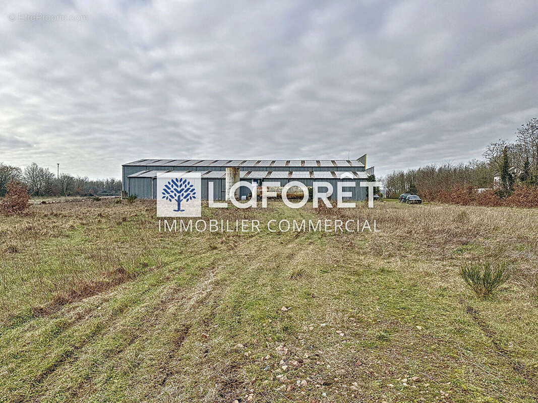 Commerce à SAINT-JACQUES-DE-THOUARS