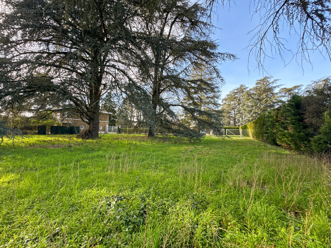 Terrain à SAINT-BERNARD
