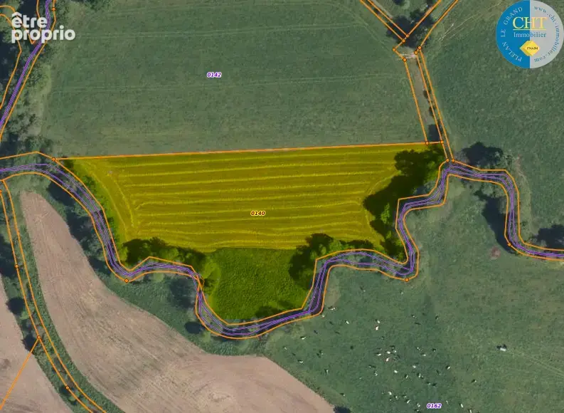 À Plélan-Le-Grand (35), Herbage de 13 000m2 et Parcelle de bois de 2 150m2 - photo 7