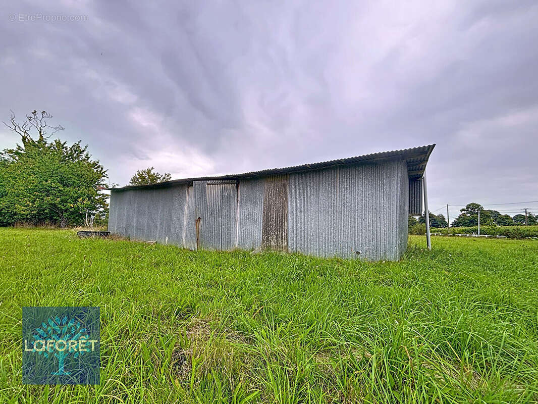 Maison à LOUVIGNE-DU-DESERT