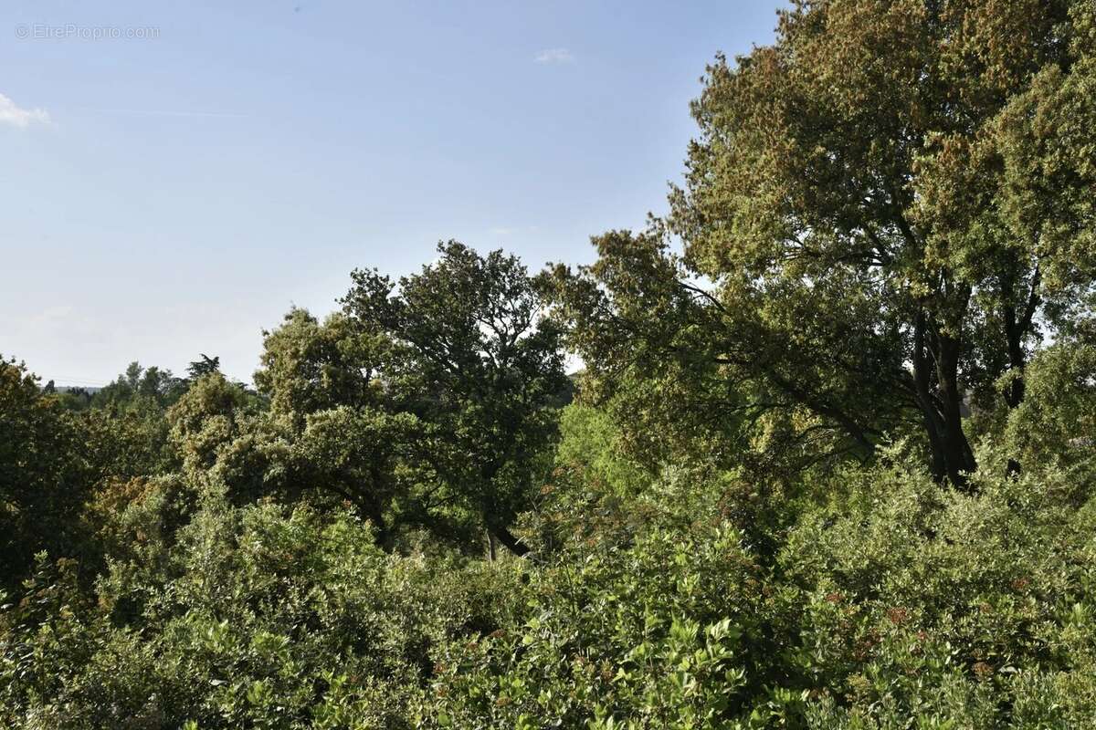 Terrain à UZES