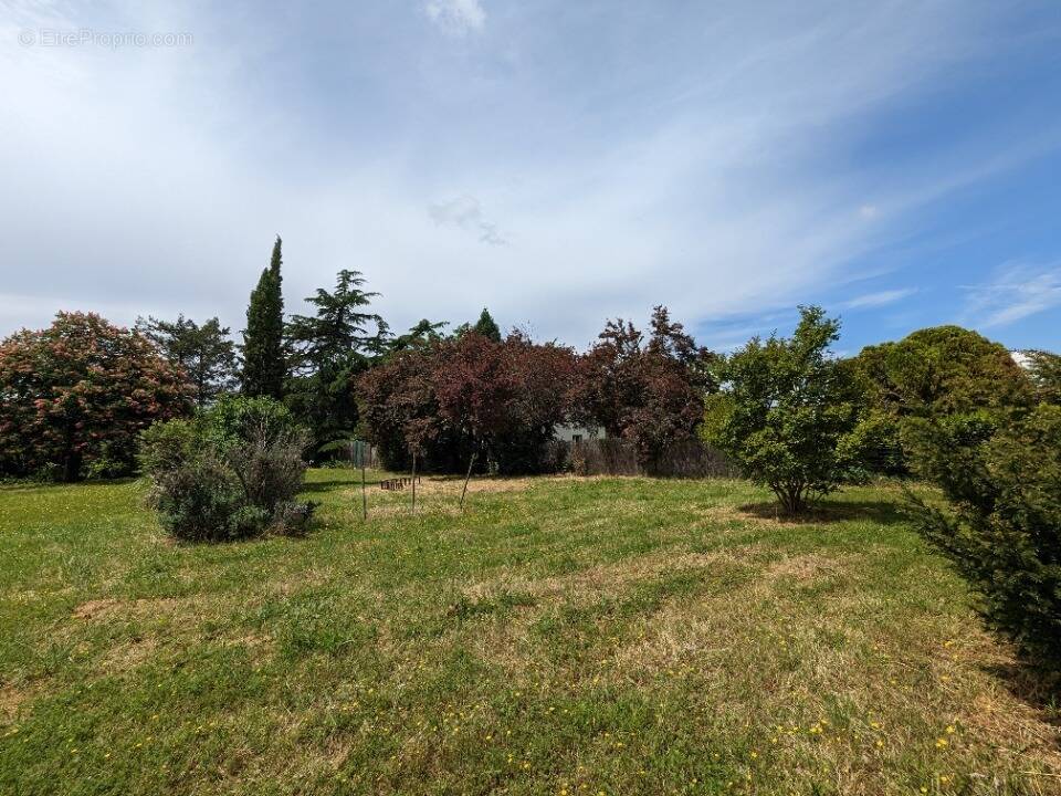 Terrain à SIGOGNE