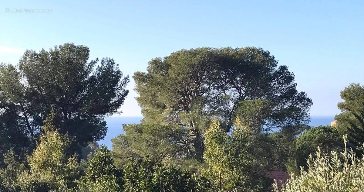 Maison à LA CROIX-VALMER