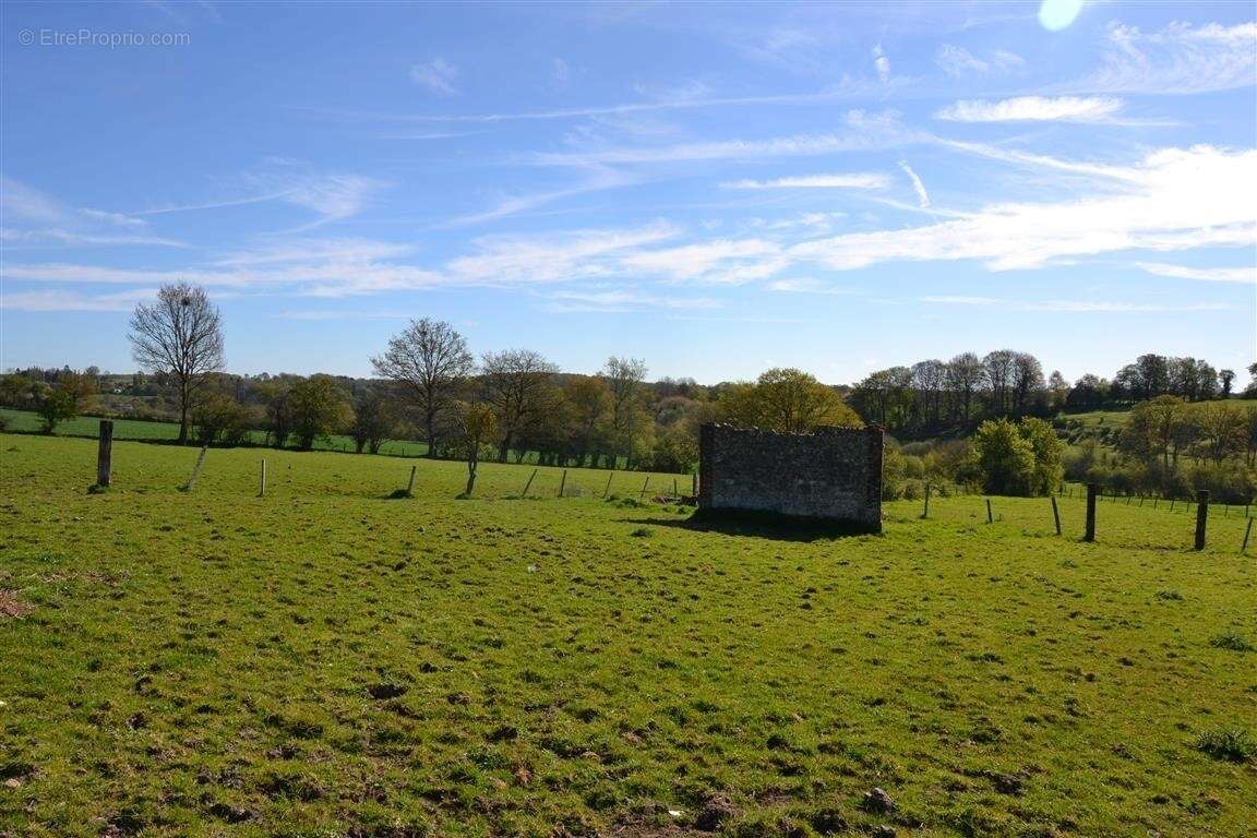 Maison 110 m² à Saint-Evroult-Notre-Dame-Du-Bois  - photo 12
