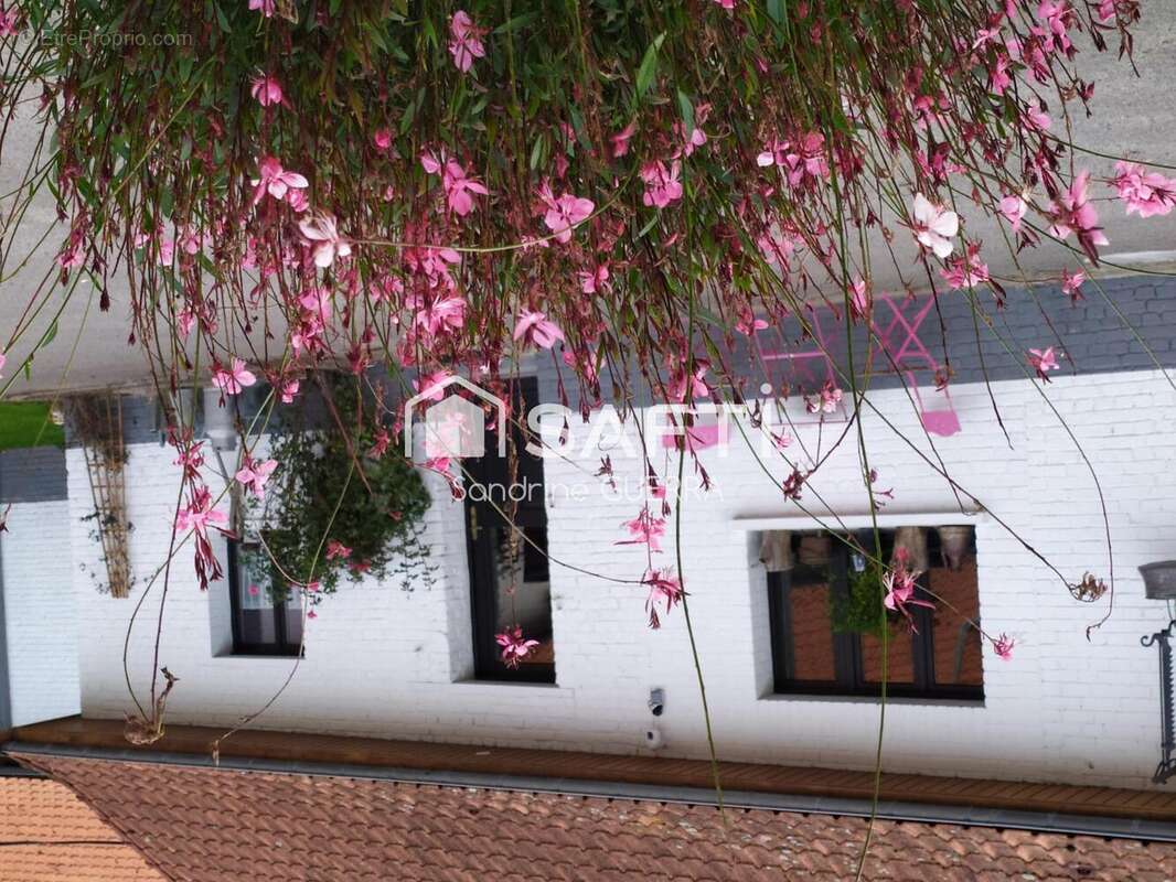 Photo 3 - Maison à HESDIN