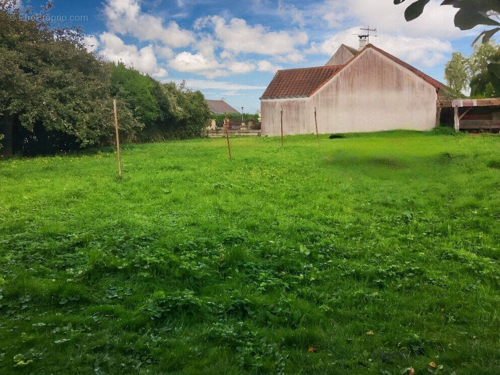 Terrain à CRISENOY