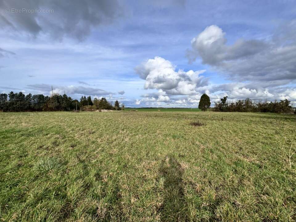 Terrain 945 m² à Piseux  - photo 2