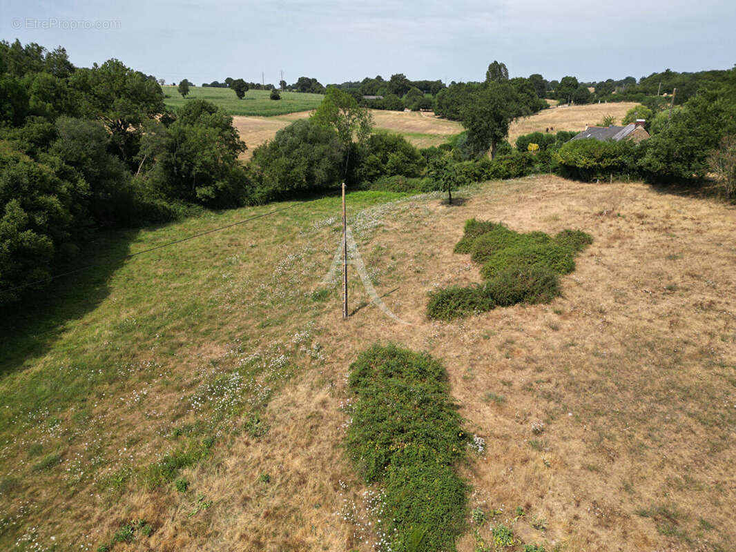 Terrain Loigne Sur Mayenne 23946 m2 - photo 10