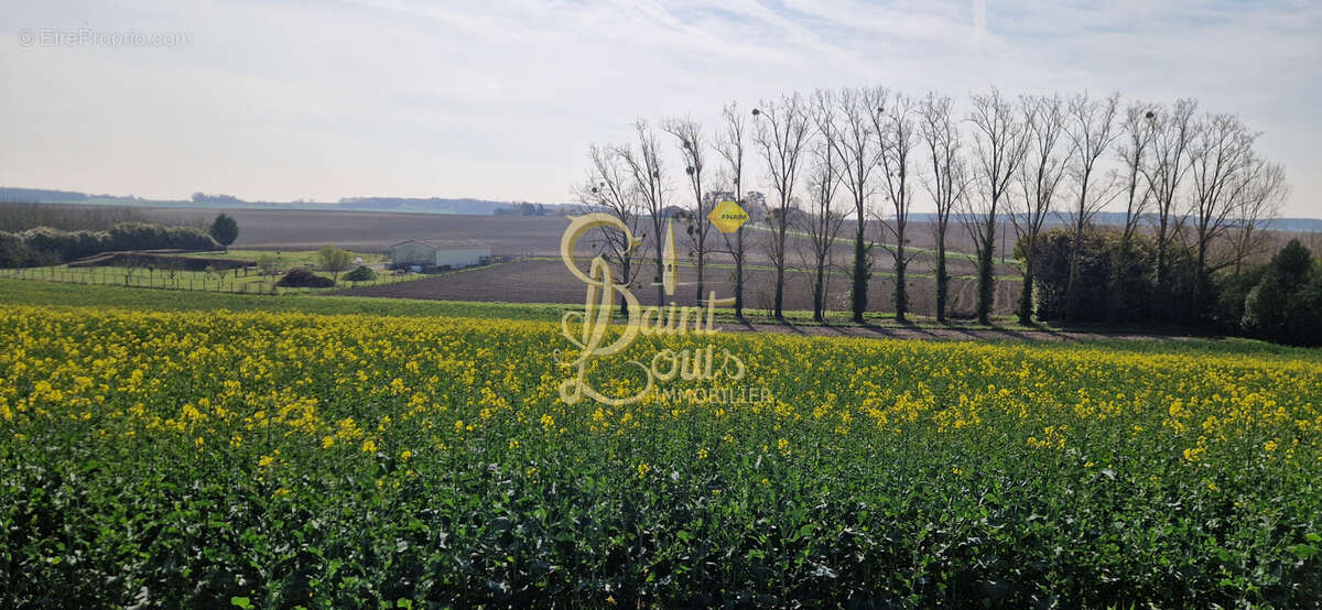 Parking à MARIGNY-MARMANDE