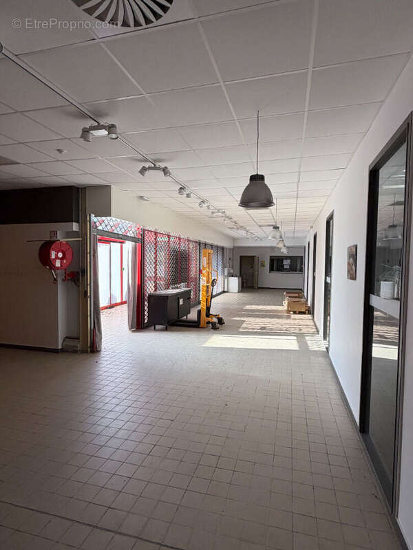 Local commercial A VENDRE 1690m² - Proche SAINT-JUNIEN - Terrain - photo 8