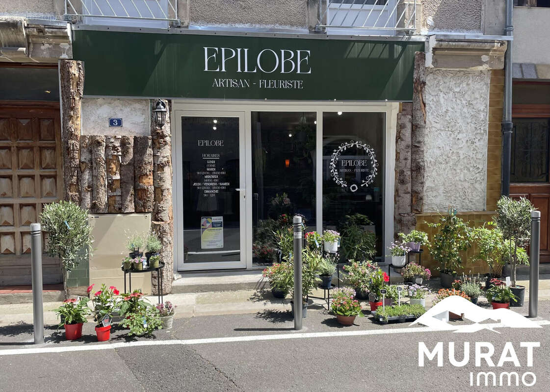 Autre à SAINT-AMANT-TALLENDE