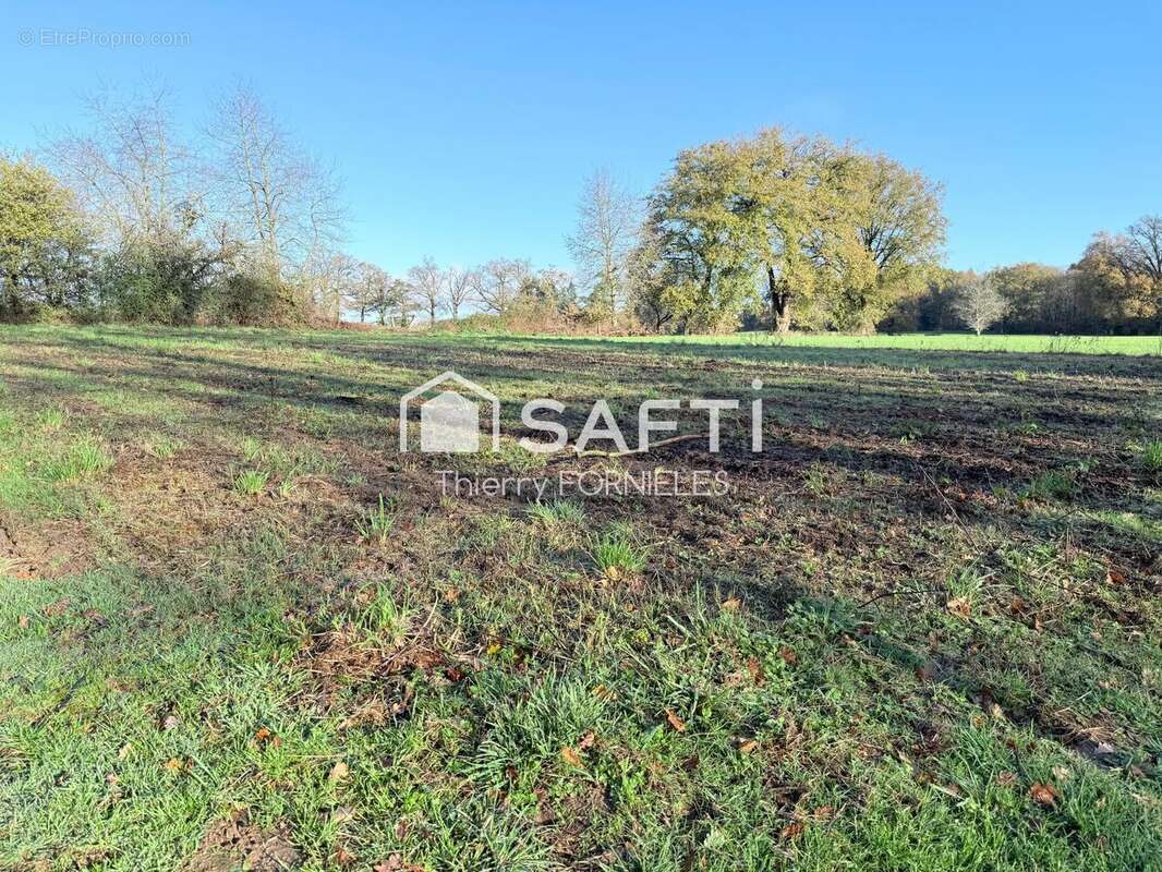 Photo 3 - Terrain à SAINT-JUST-LE-MARTEL