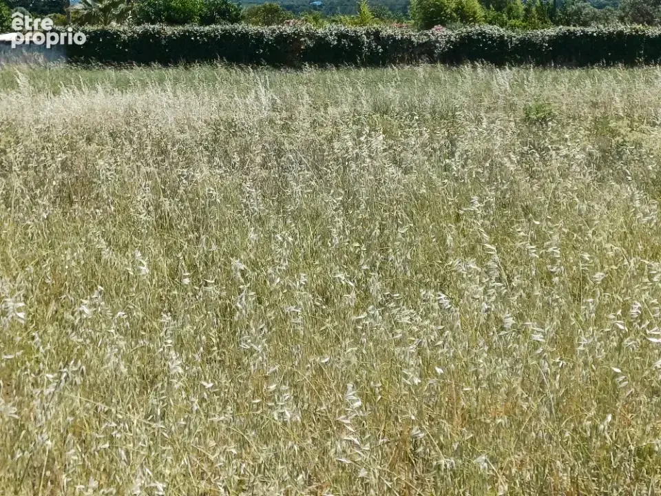 Terrain 701 m² à vendre à La Crau (83260) - photo 3
