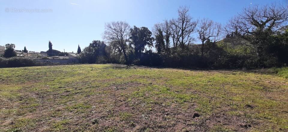 Terrain à PUGET-SUR-ARGENS