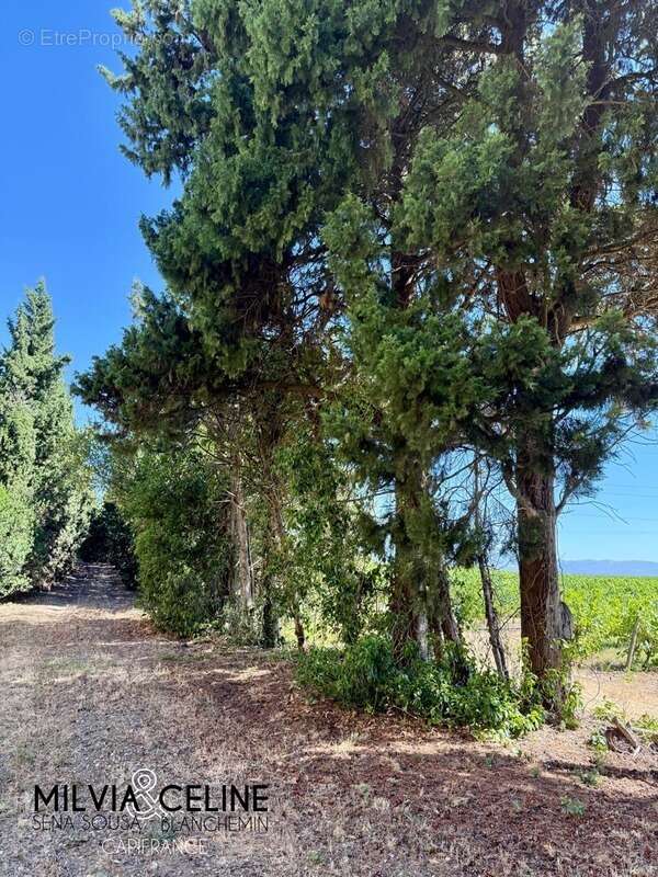 Maison à CARCASSONNE