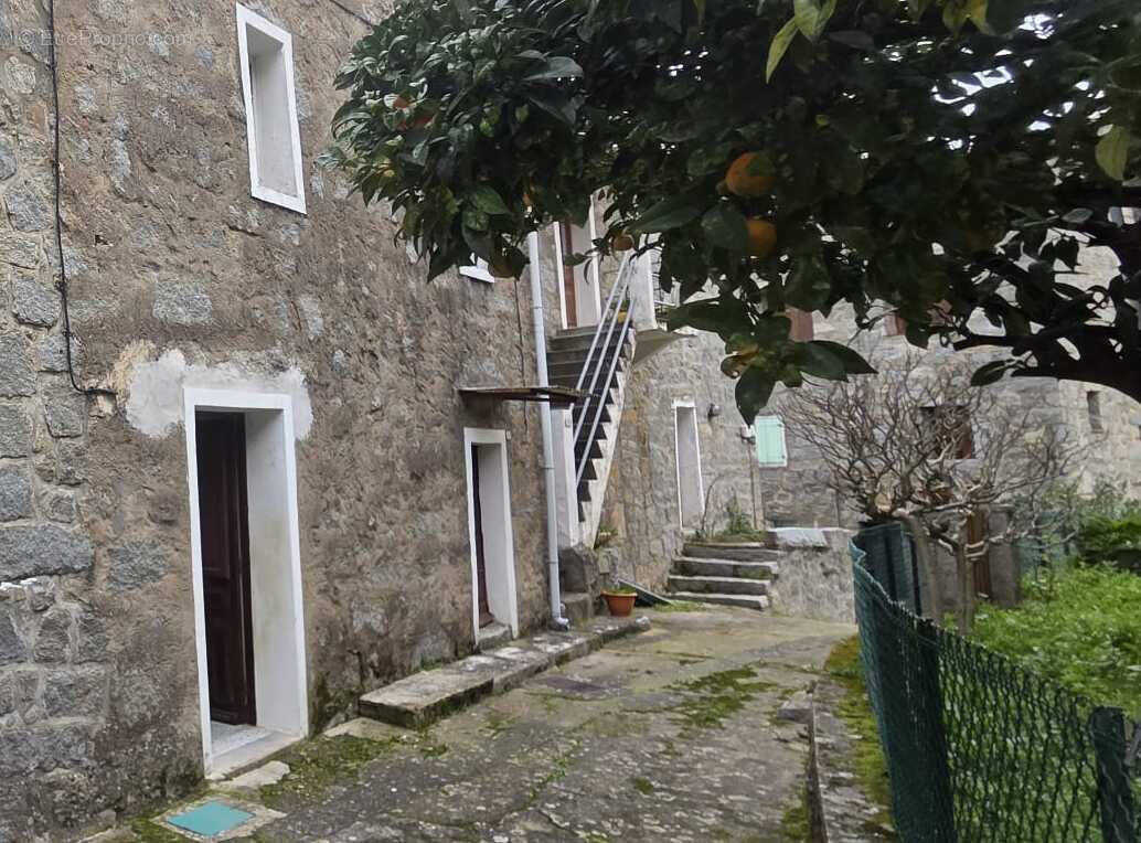 Appartement à SOLLACARO