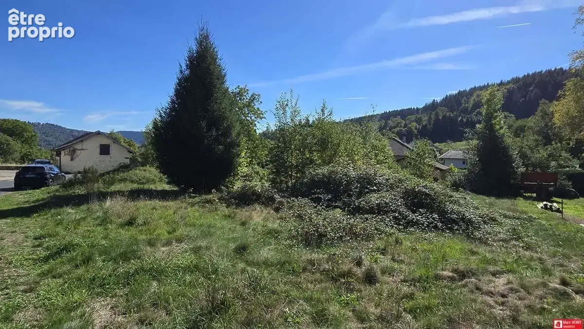 Terrain à LE THOLY
