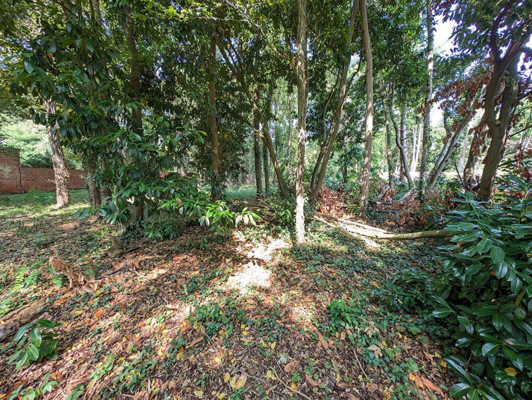 Terrain Congis Sur Therouanne 1000m2 - photo 3