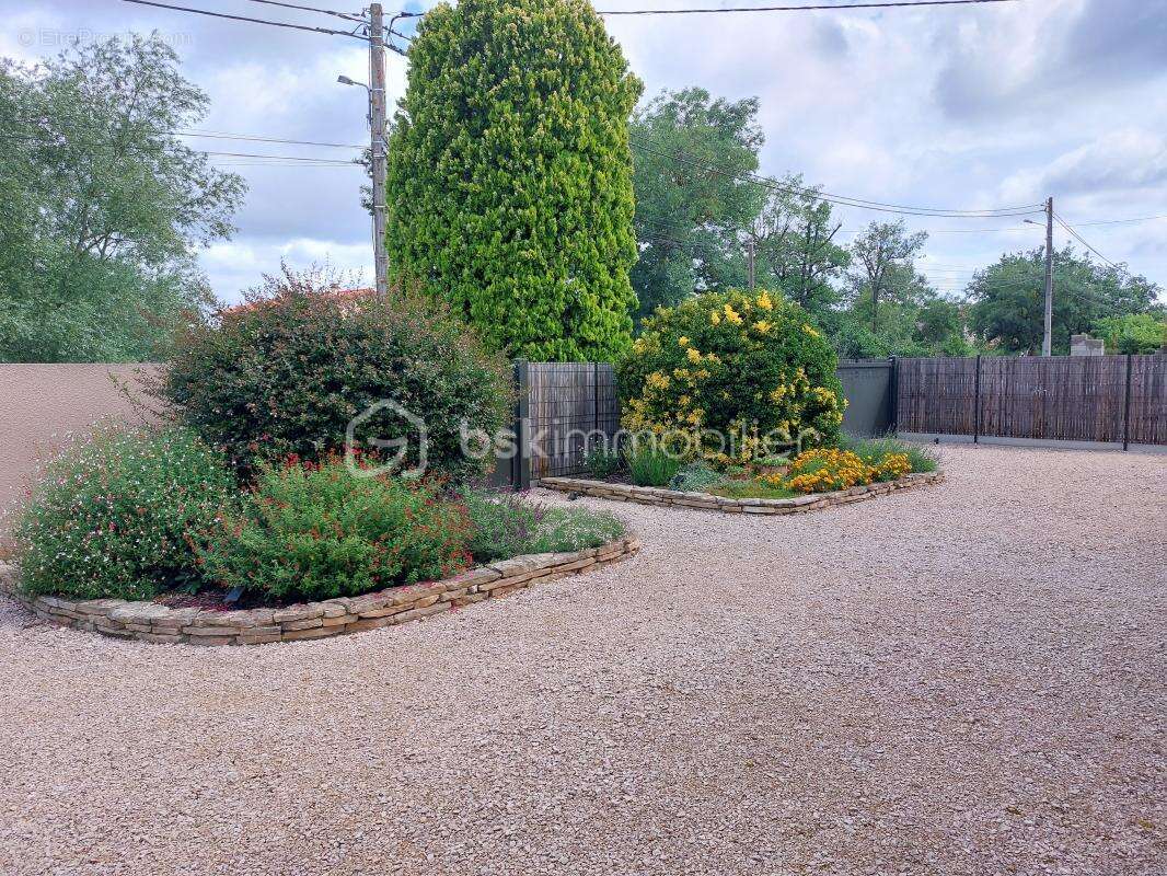 Maison à VILLENEUVE-TOLOSANE