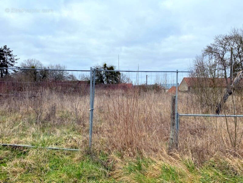 Terrain à LES SIEGES