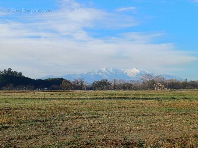 Terrain à VILLENEUVE-DE-LA-RAHO