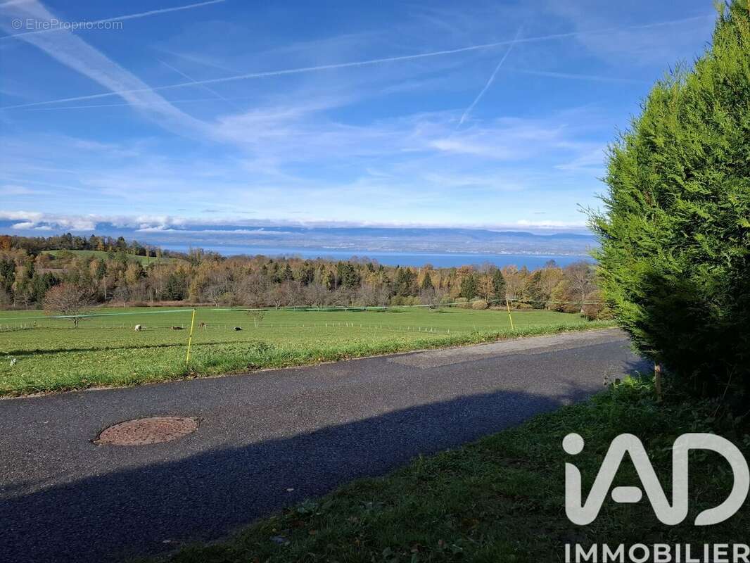 Photo 6 - Terrain à SAINT-PAUL-EN-CHABLAIS