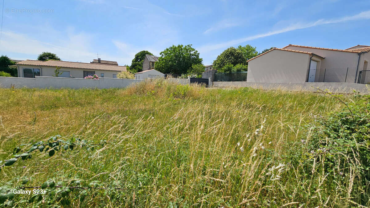 Terrain à CHAMPDENIERS-SAINT-DENIS