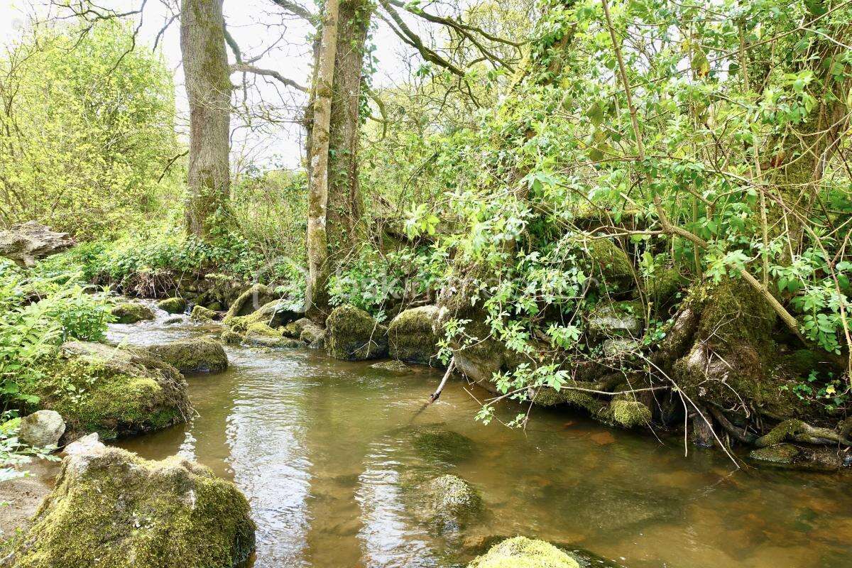 Ancien Moulin - Maison en pierres nichée au coeur de la nature - COUP DE COEUR GARANTI ! - photo 4