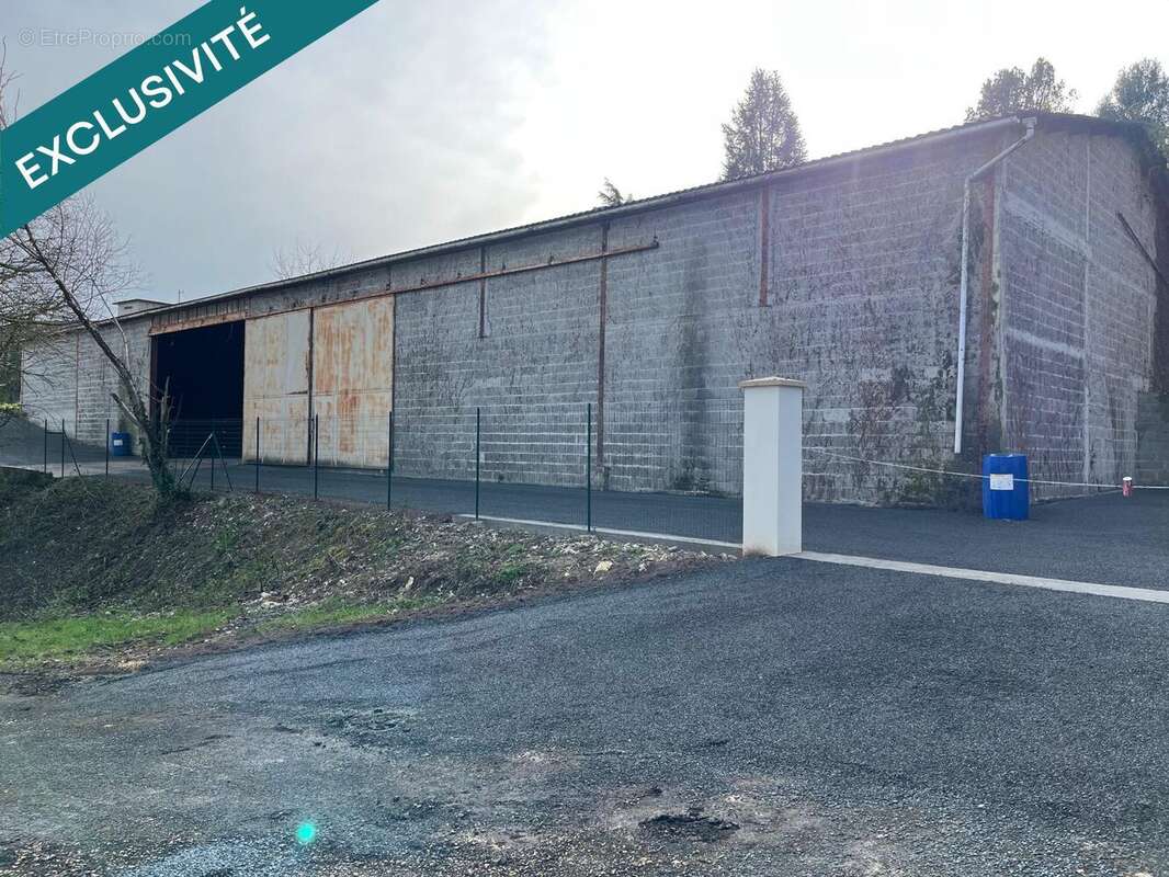 Commerce 675 m² à Castillonnes  - photo 4