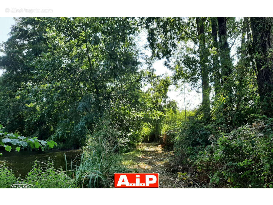 Terrain 61114 m² à Breuil-Barret  - photo 8