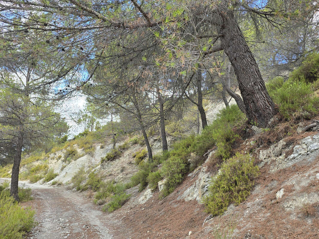 L'escarene - terrain de loisirs 11 440m2 - photo 2