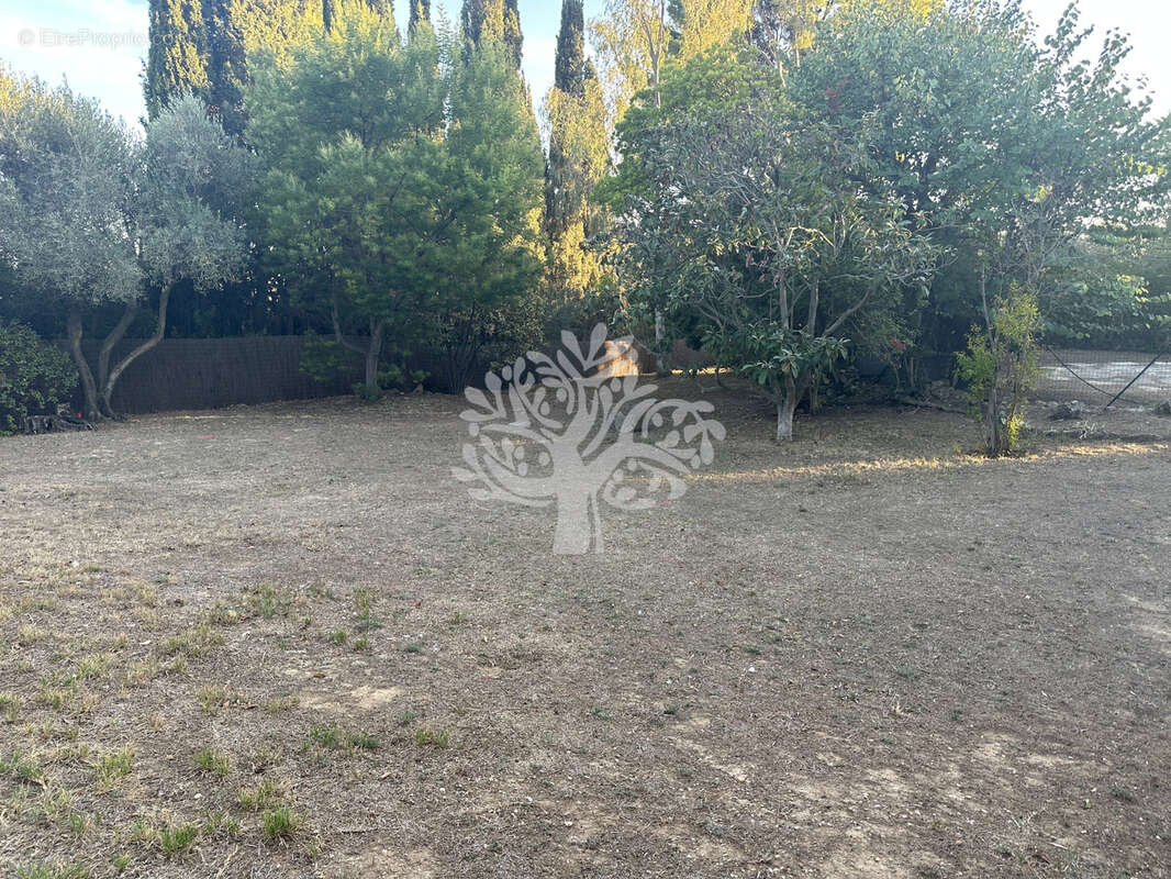 Terrain à SANARY-SUR-MER