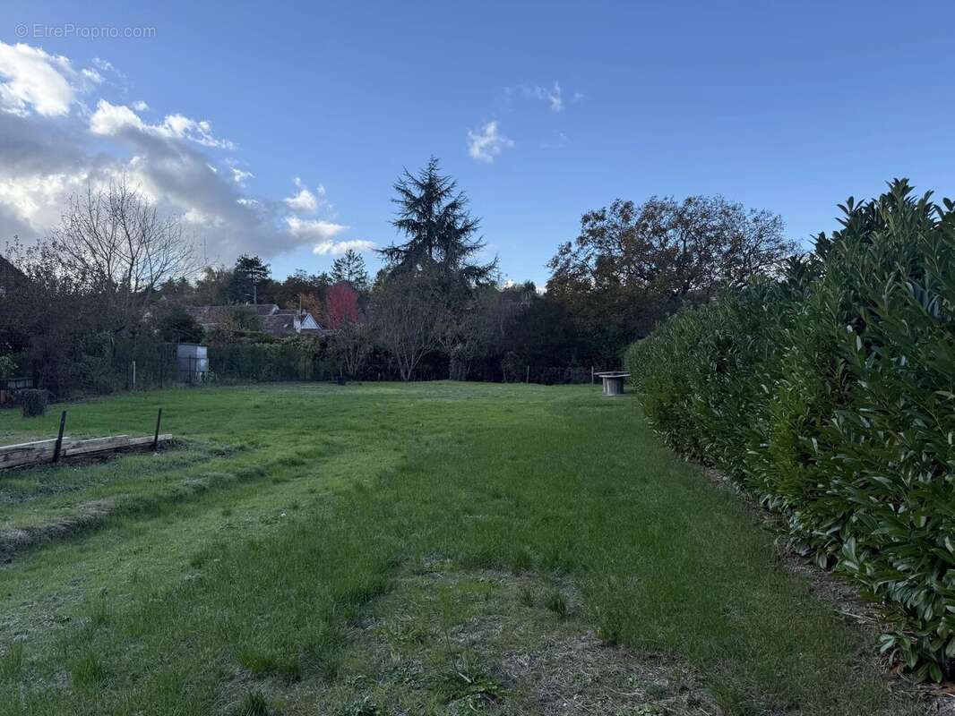 Terrain à SAINT-MARTIN-DU-TERTRE