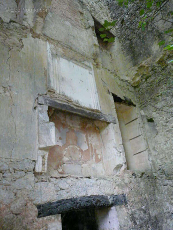 Ancienne Maison de Maître terre et bois 6 Ha - photo 22
